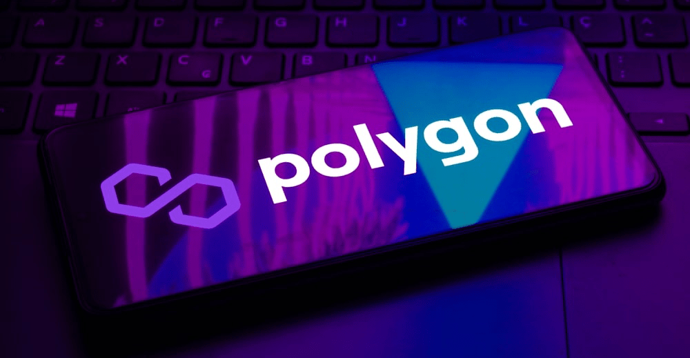 Présentation de Polygon